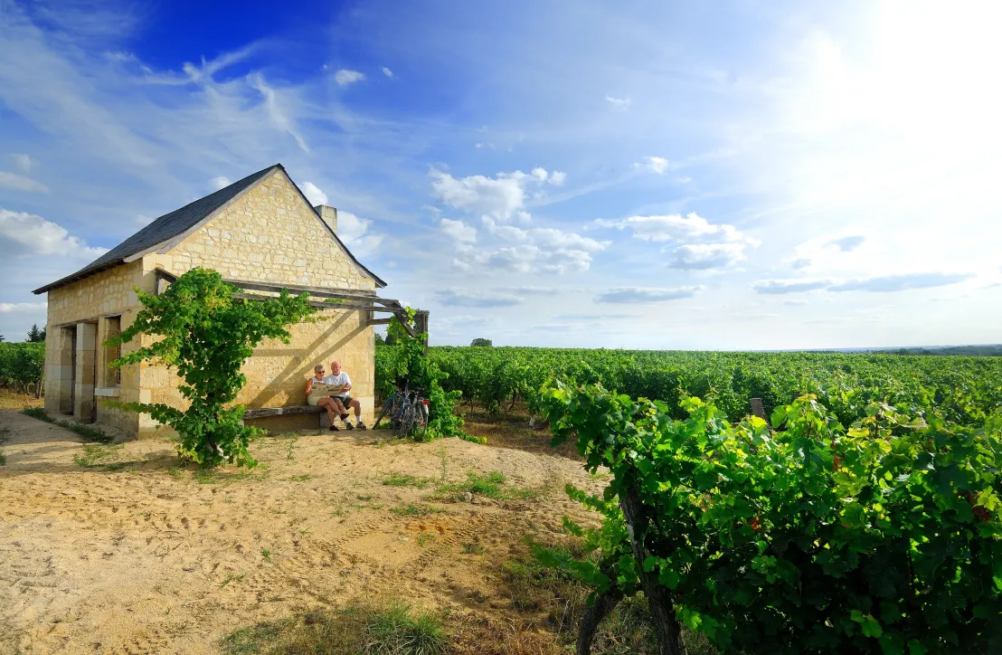 Loge de vigne © Christophe Petiteau
