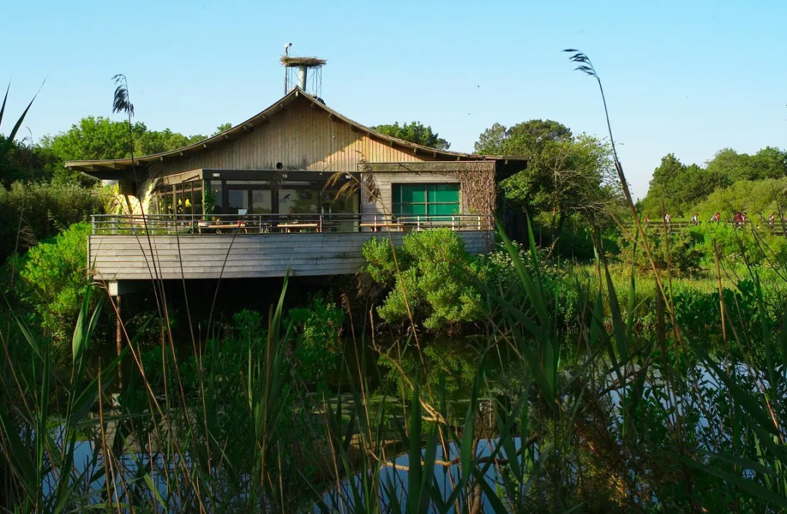 Maison de la Nature du Bassin d'Arcachon