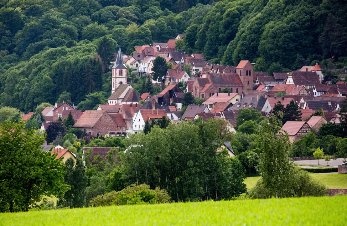 oberbronn-9871(a)A-Dorschner