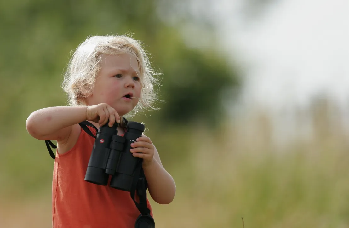Enfant observant les oiseaux- golfe du Morbihan