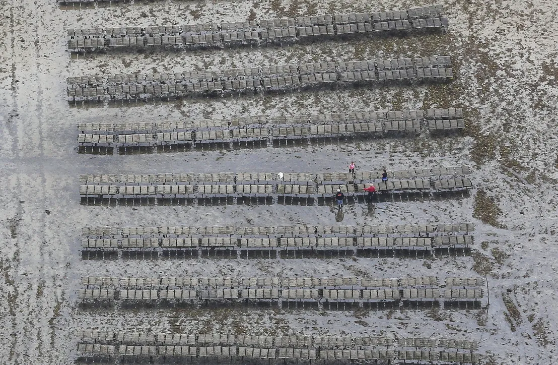 Travaux ostreicoles- Golfe du Morbihan