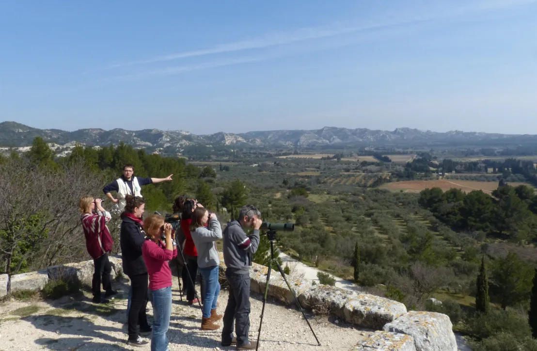 Sortie nature Alpilles