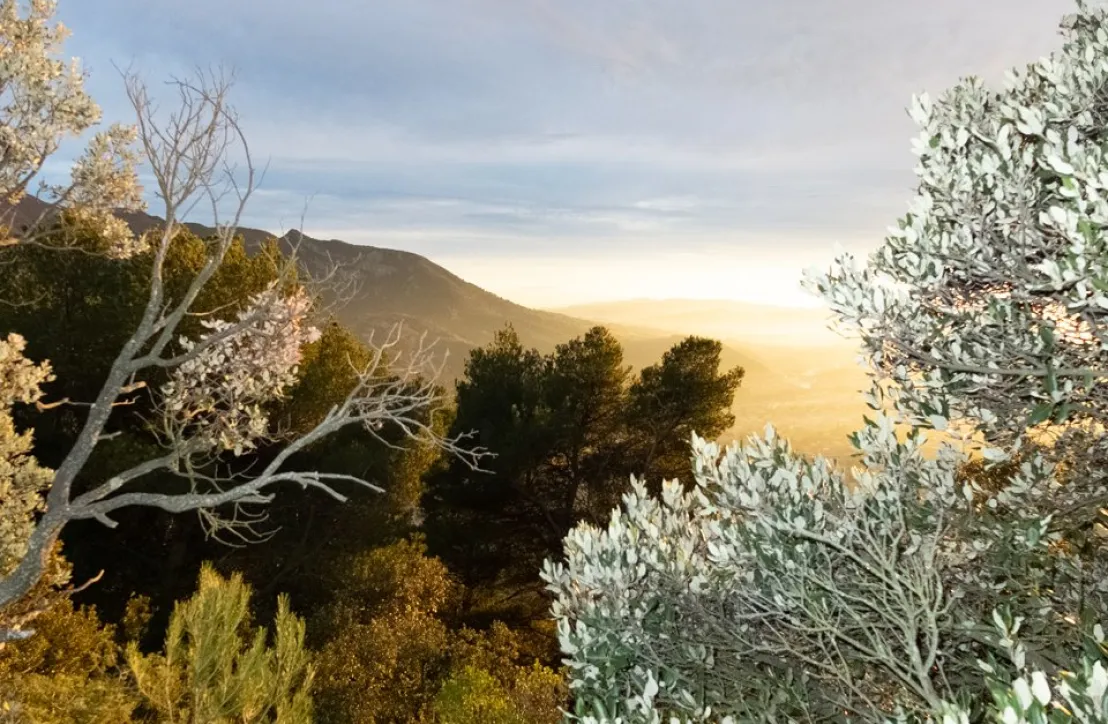 Paysage hiver 1