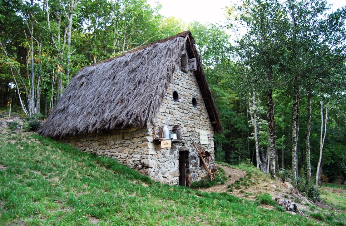 Palhèr de Payrac (34)