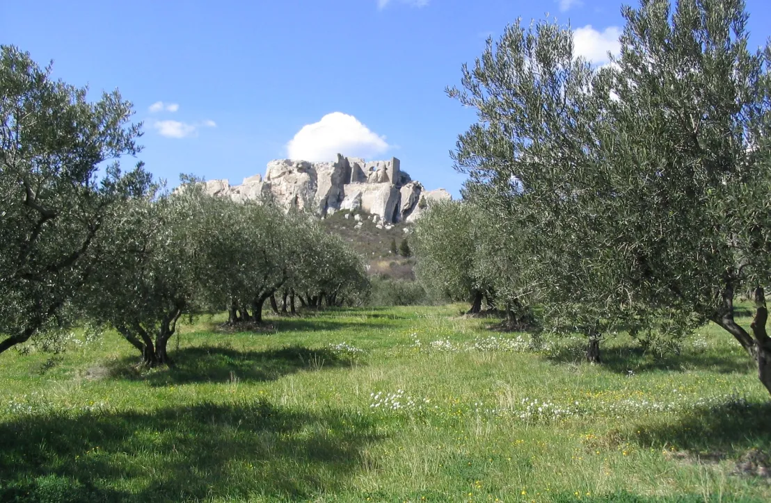 Paysages Alpilles Les Baux-de-Provence