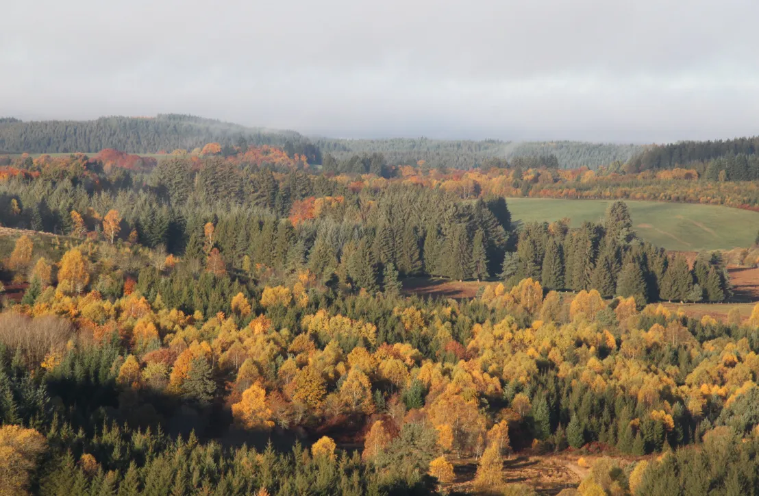 Paysage d'Automne aux Sources de la Vienne en Corrèze