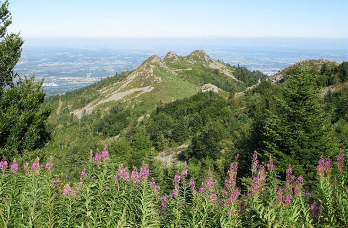 Les 3 dents © Florence COSTE / Parc naturel régional du Pilat