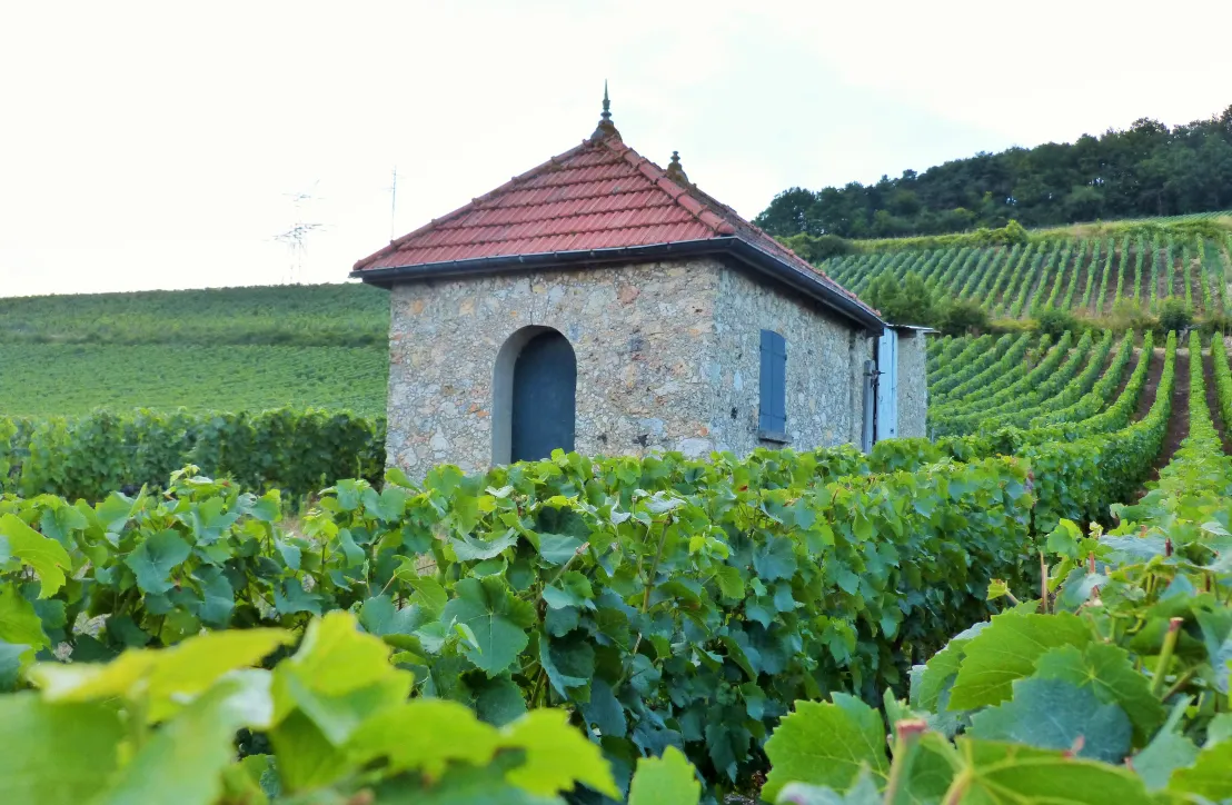 Parc de la Montagne de Reims - loges de vigne