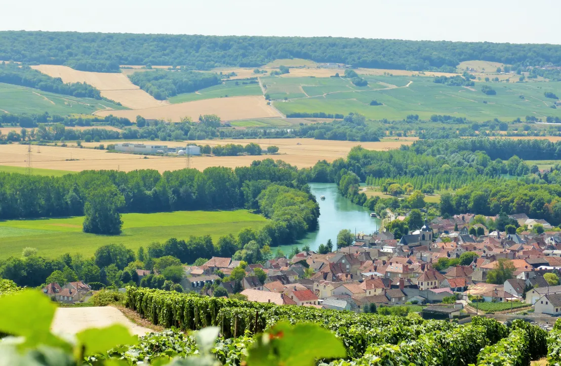 Montagne de Reims - vallée de la marne - hautvillers