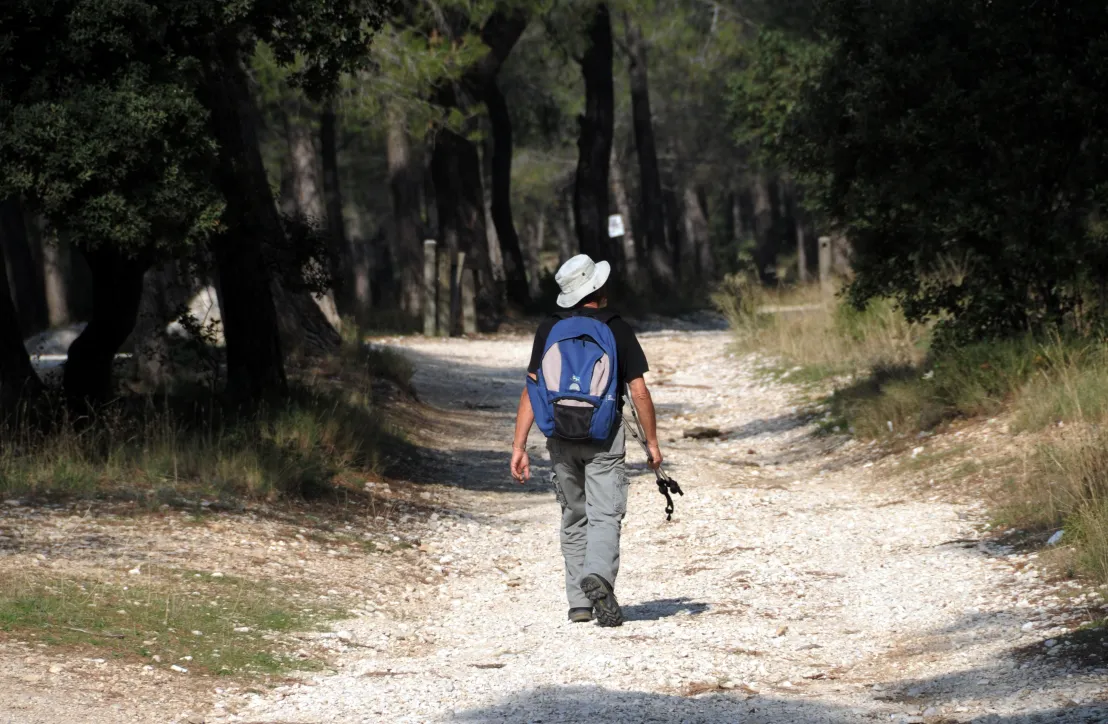 balade Alpilles 2