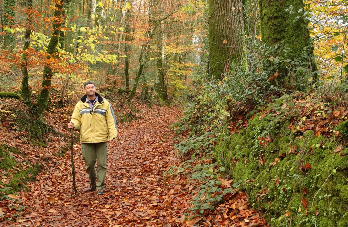 Randonneur en forêt- PNR Golfe du Morbihan