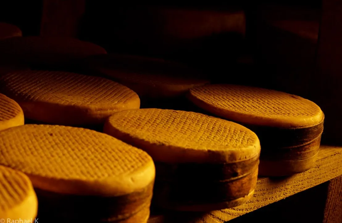 Fromage fermier Parc Pyrénées Ariégeoises
