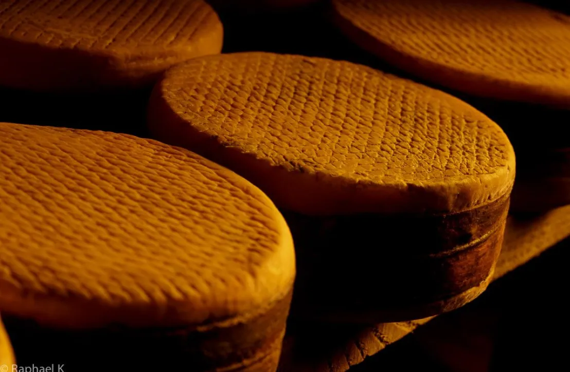 Fromage fermier Parc Pyrénées Ariégeoises