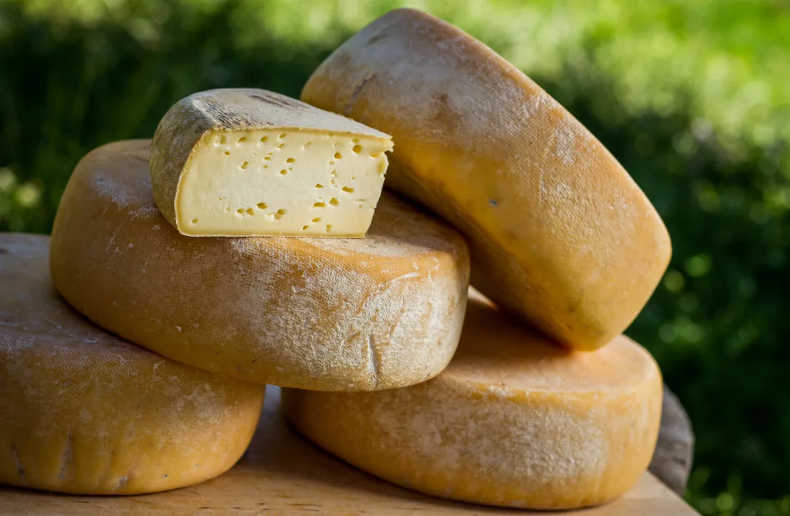 Tomme des Pyrénées au lait cru
