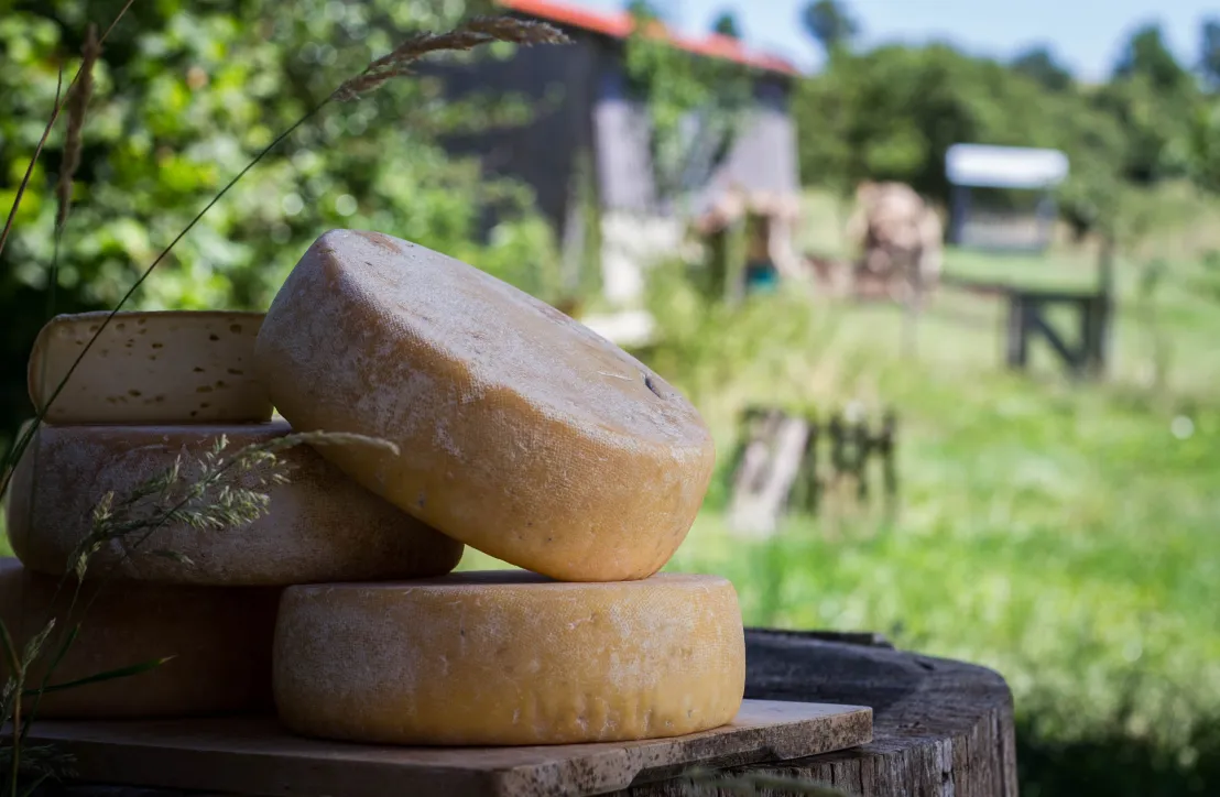 Fromage fermier Parc Pyrénées Ariégeoises