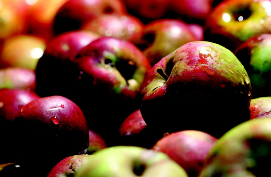 Pommes du Parc des Pyrénées Ariégeoises
