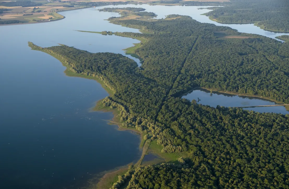 Réserve Naturelle Nationale de la Forêt d'Orient