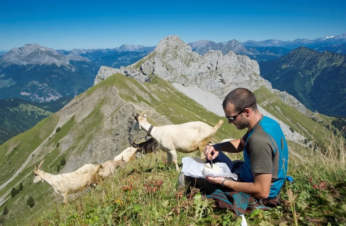 Pause gourmande et découverte des Alpages