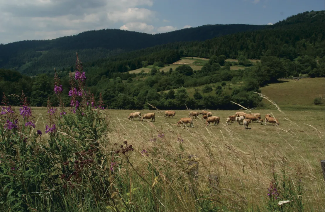 St Sabin © PNR Pilat