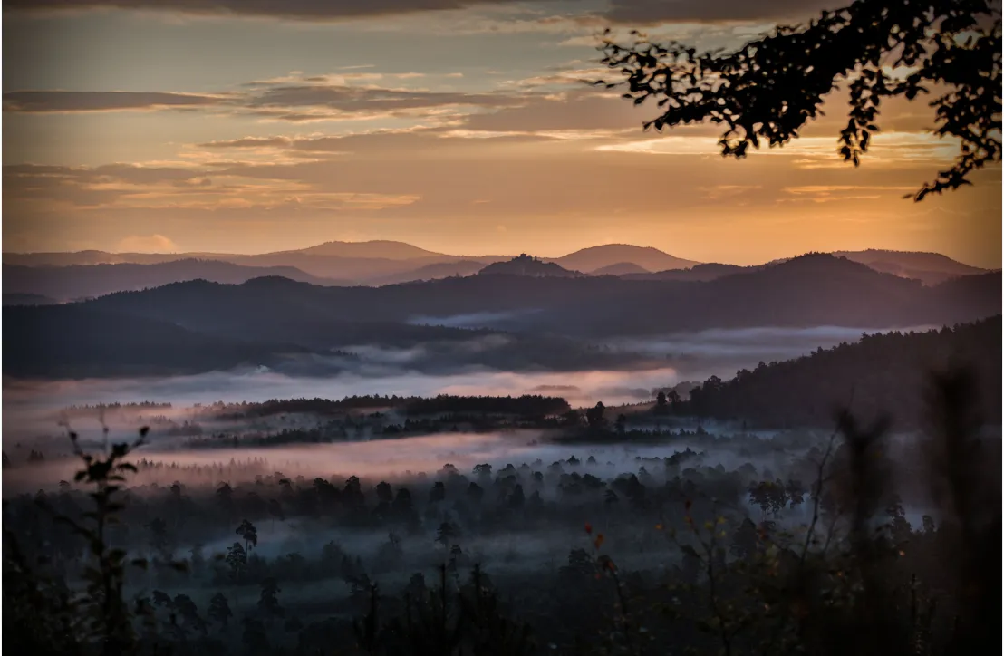 Vosges du Nord - Lichtenberg © A. Dorschner