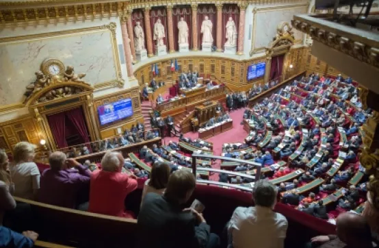 Le projet de loi « Climat et Résilience » de passage en juin au Sénat 