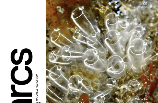 Le magazine Parcs n°88 vient de paraître !