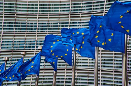 Loi restauration de la Nature, une adoption en demi-teinte