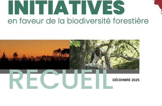 Un nouveau recueil en faveur de la biodiversité forestière