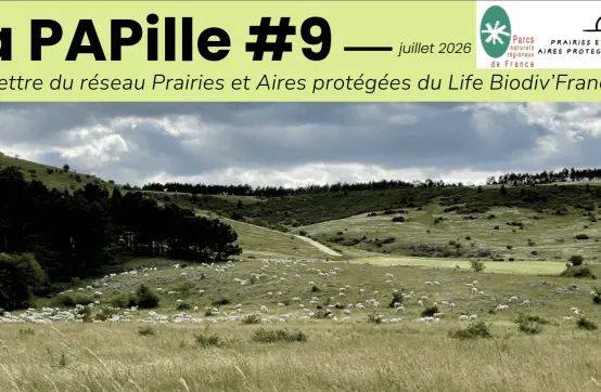 Le nouveau numéro de la PAPille est disponible !