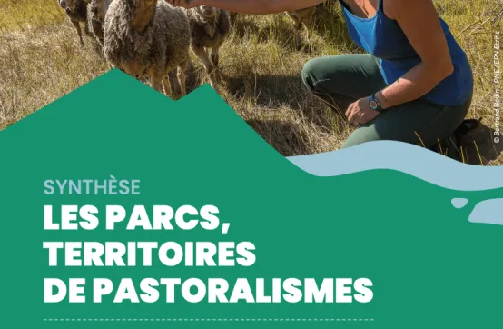 Les Parcs, territoires de pastoralismes
