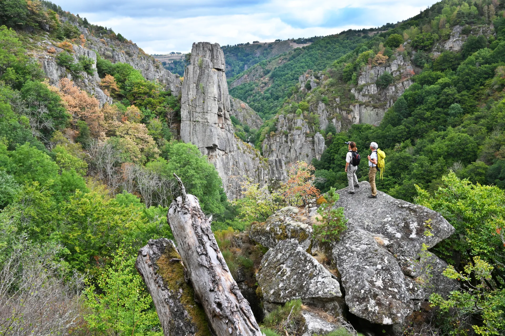 Gorges du Bès - contreforts du plateau de l'Aubrac