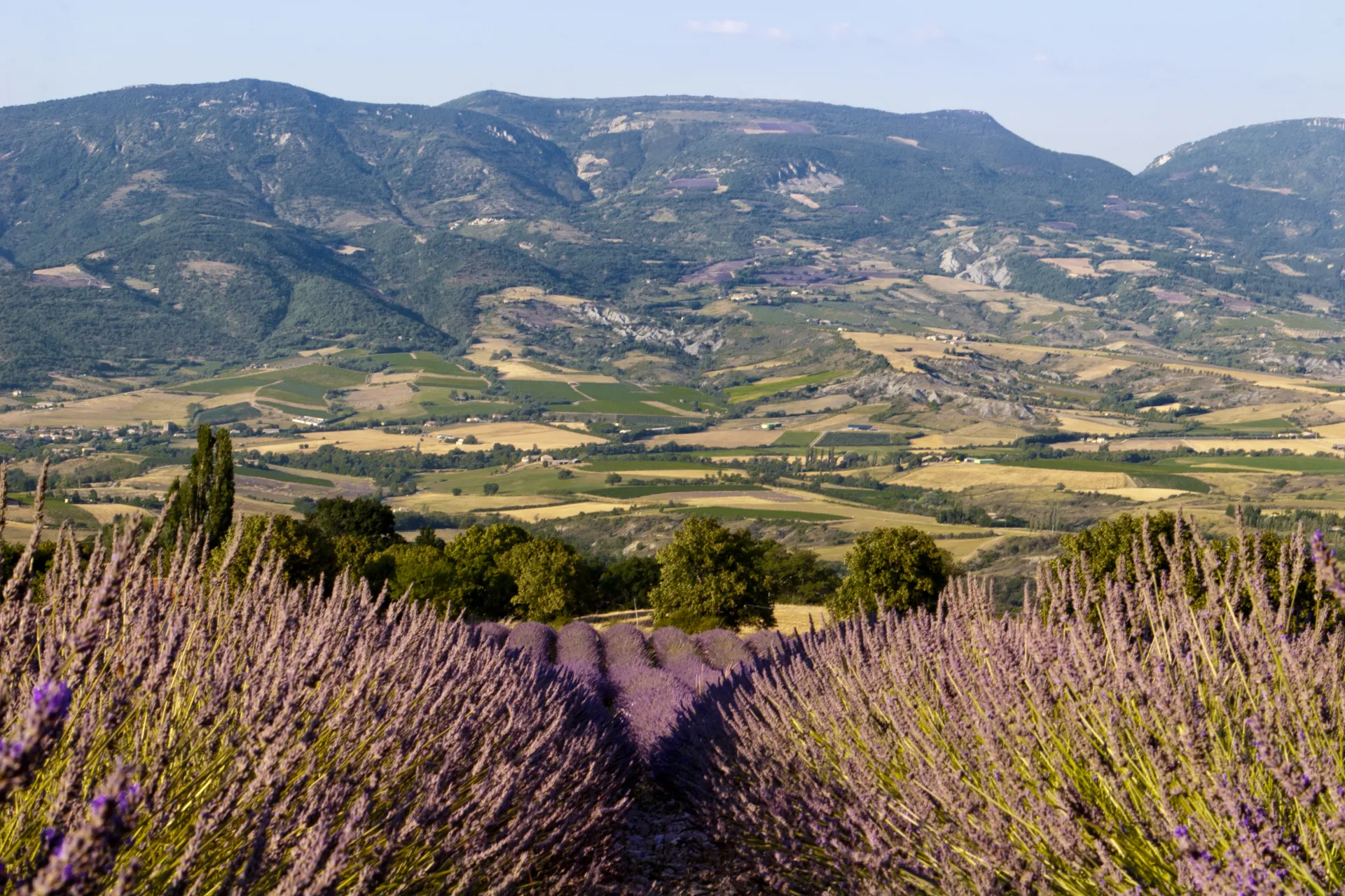 Saint sauveur