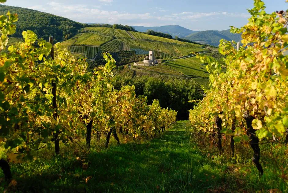 Château du Wineck Katzenthal