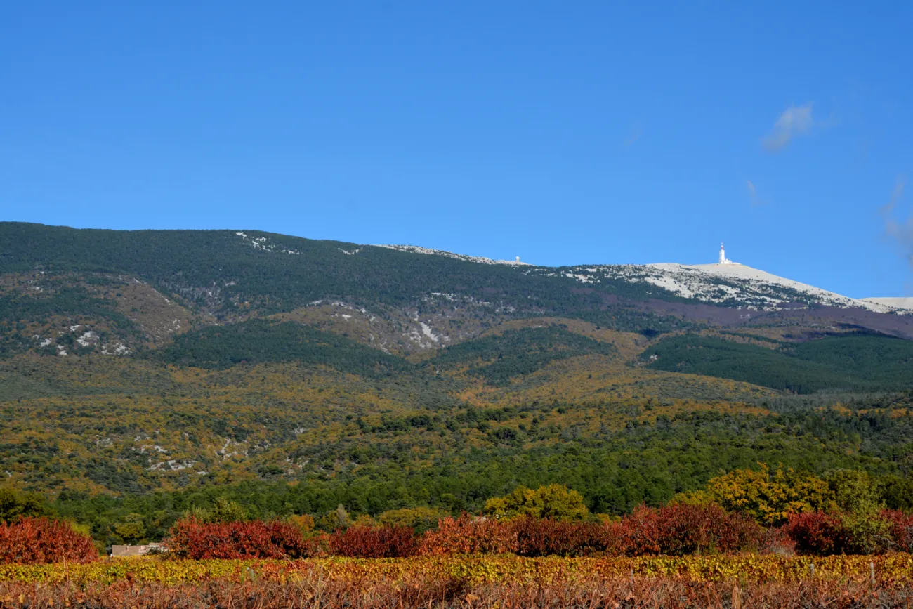 Ventoux automne - Flassan(84)