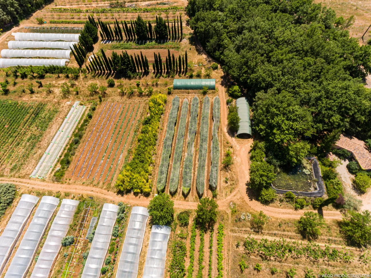 Parcelles en maraichage bio