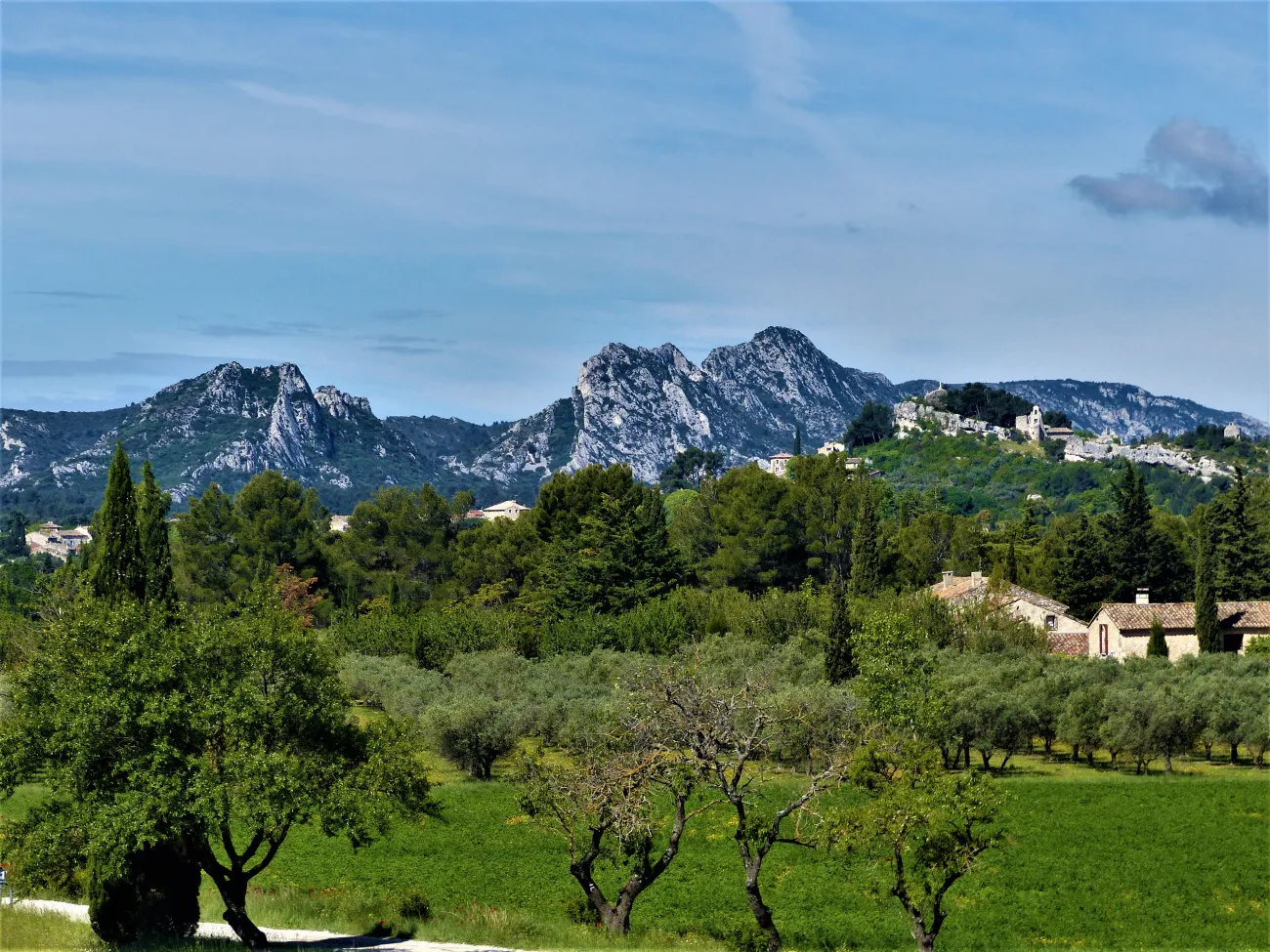 Vue emblématique du PNR des Alpilles