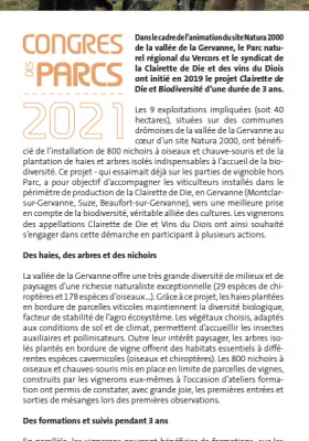 Marché des initiatives 2021