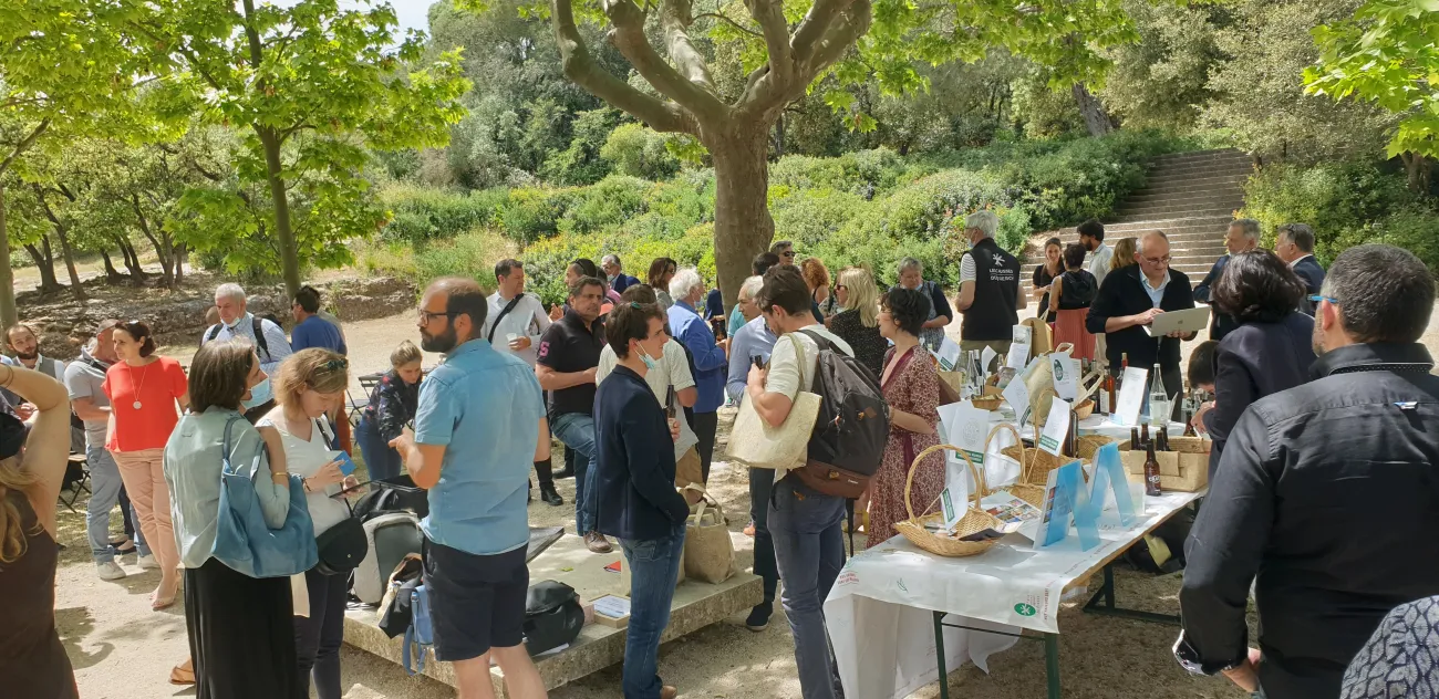 Buffet IAC Pont du Gard 2021 ( 2 )