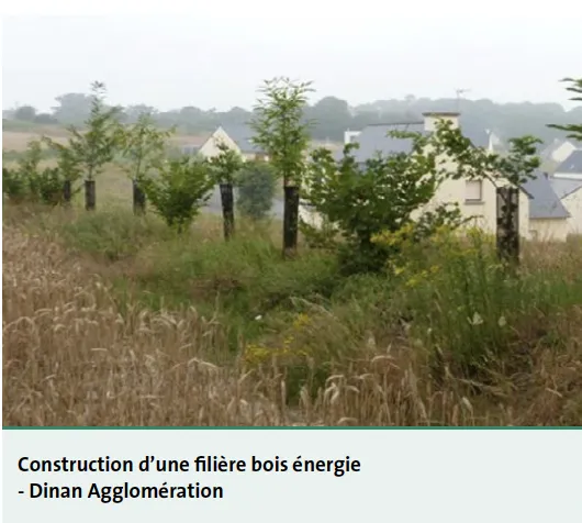 Filières bois énergie Dinan Agglo