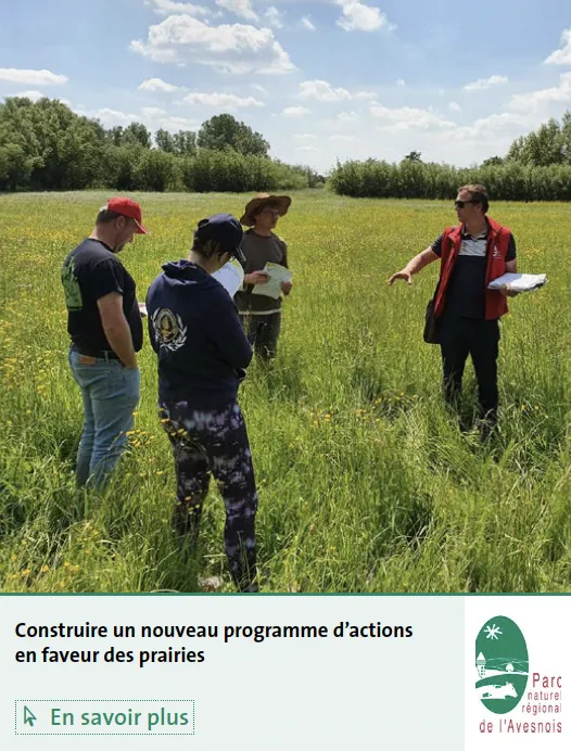 Carte postale Nouveau programme d'action en faveur des prairies