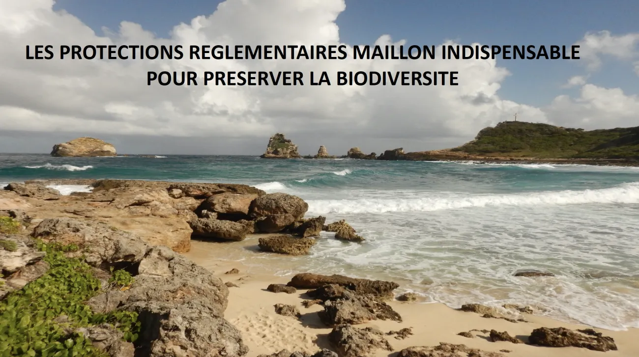 Support présentation Roger Estève CORP