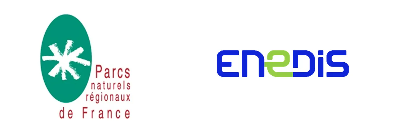 Logo formulaire Enedis