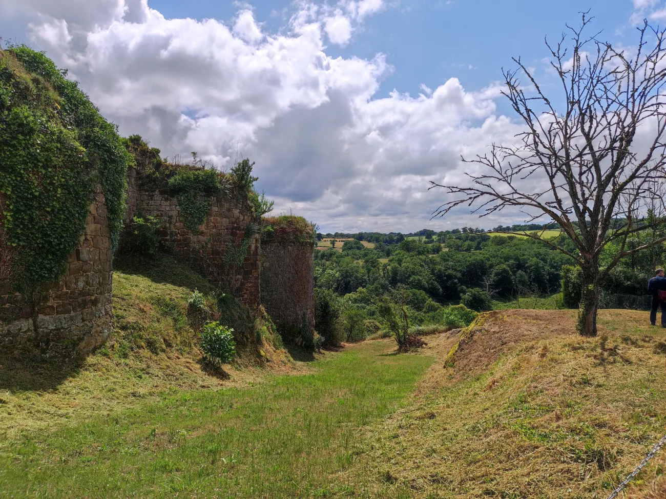 Paysage dans le PNR de la Brenne Juin 2022