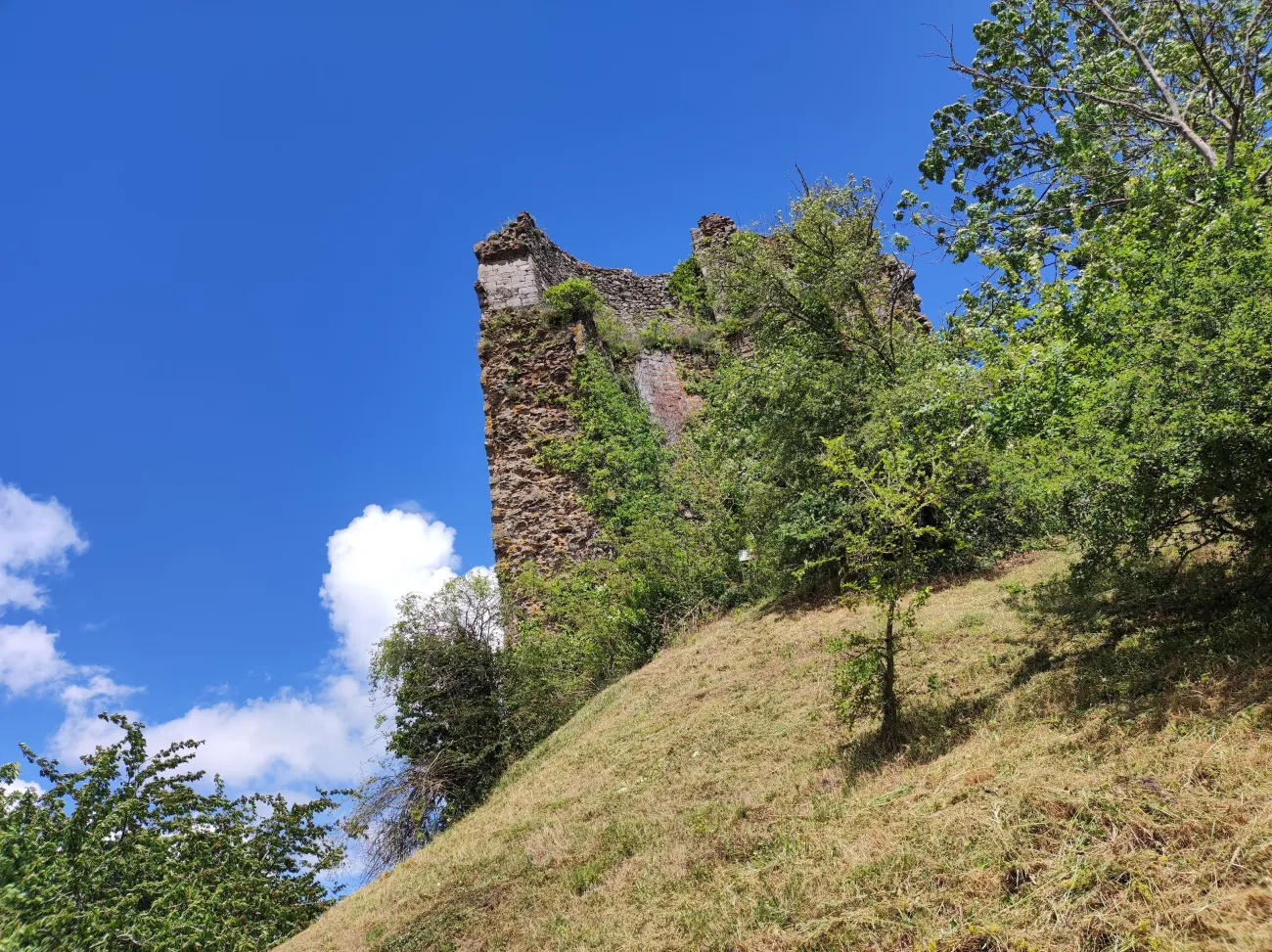 Paysage dans le PNR de la Brenne Juin 2022