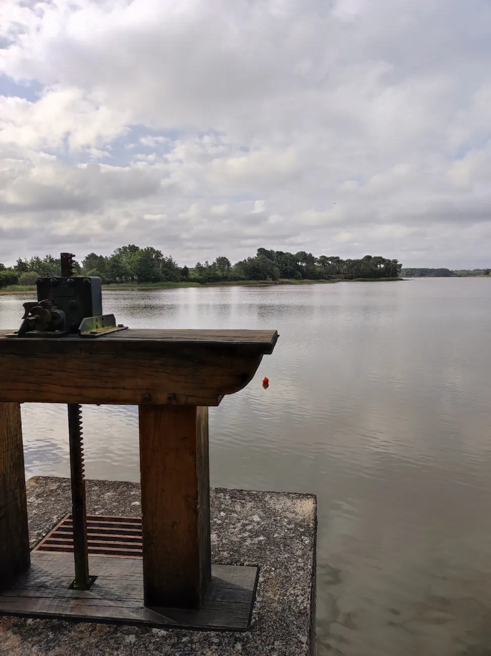 Paysage dans le PNR de la Brenne Juin 2022