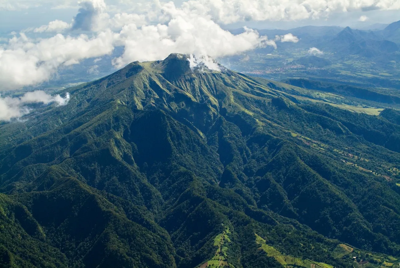CARIBIOTA – La planète revisitée dans la Caraïbe - Martinique - Dominique - Sainte-Lucie