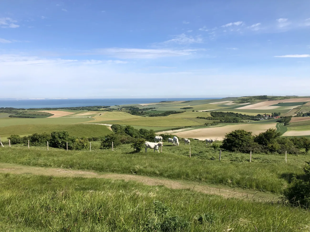 Paysage du PNR Caps et Marais d'Opale