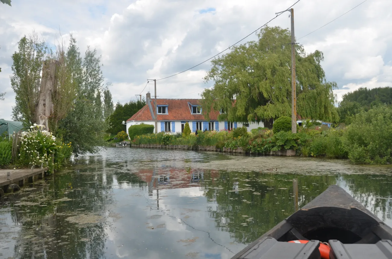 Marais du PNR Caps et Marais d'Opale