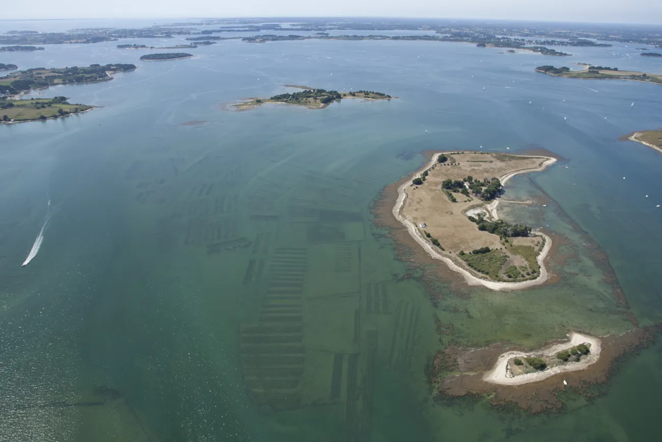 Ilots Parcs à huitres - PNR Golfe du Morbihan