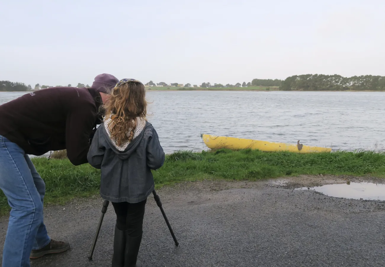 Ornithologie - PNR Golfe du Morbihan